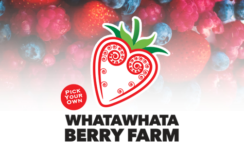Whatawhata Berry Farm